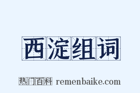 西淀组词是什么意思的图片